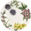 Spode Stafford Blooms 10.5in Dinner Plate Set Home -Spode 3050232613 RLLD 1