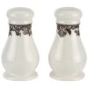 Spode Delamere Salt And Pepper Home